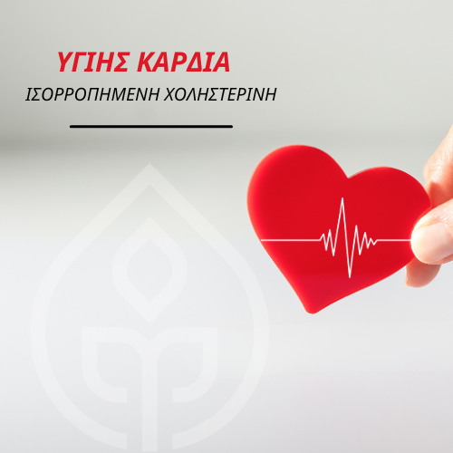 Προστάτεψε την καρδιά σου