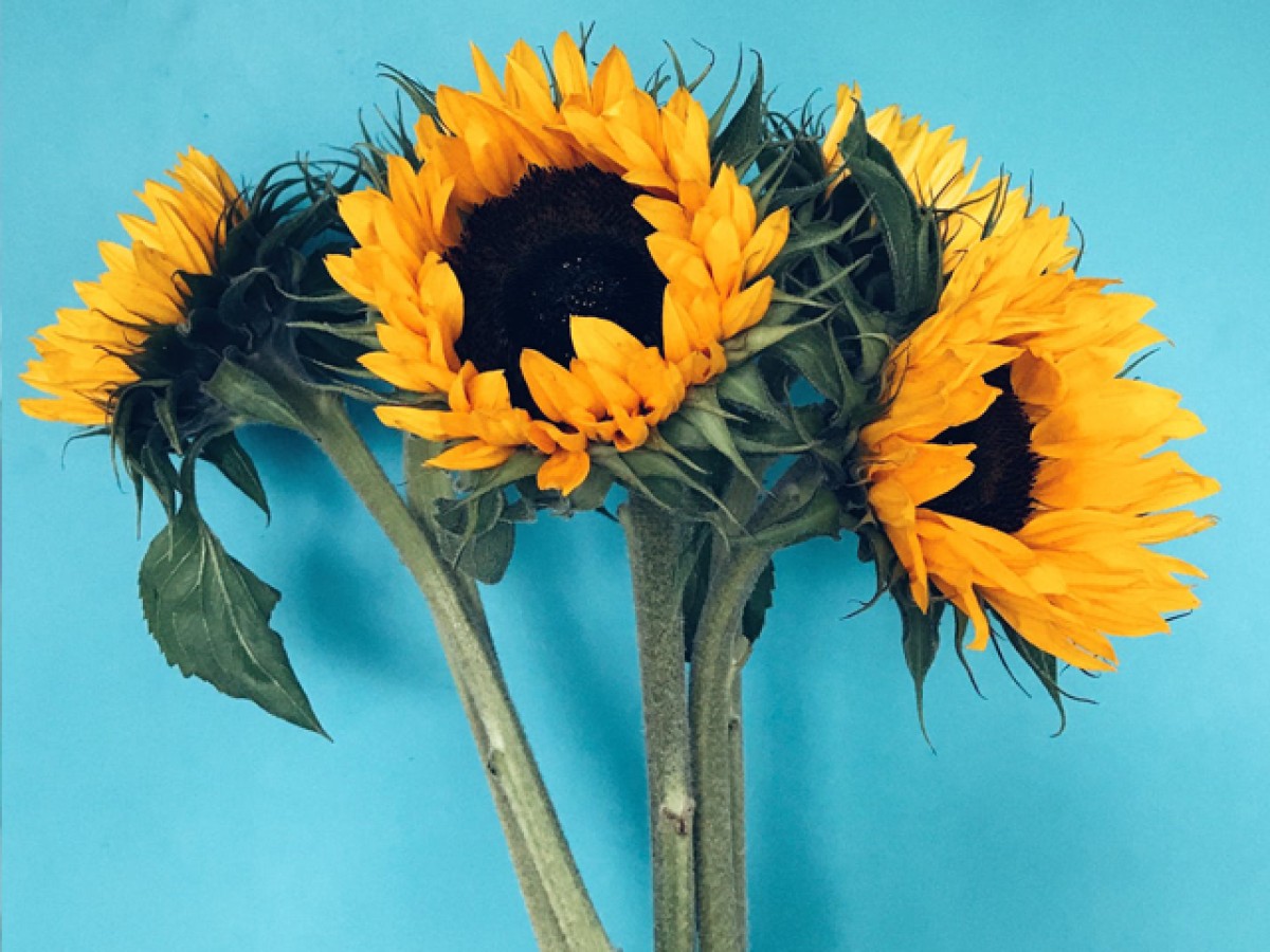 Πώς μπορείς να αντιμετωπίσεις την καλοκαιρινή ατονία