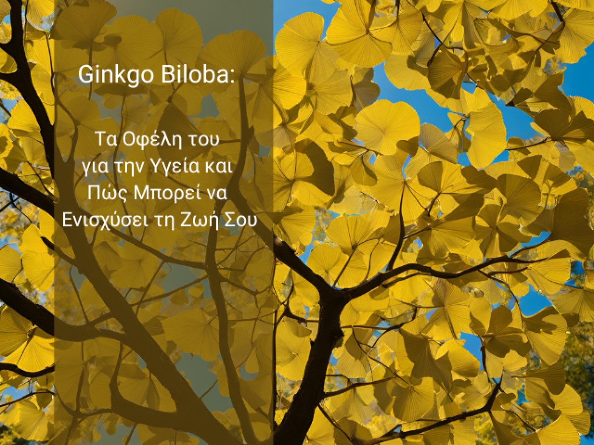 Ginkgo Biloba: Τα Οφέλη του για την Υγεία και Πώς Μπορεί να Ενισχύσει τη Ζωή Σου