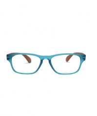 Frog Optical Γυαλιά Πρεσβυωπίας Σιέλ-Καφέ Χρώμα Code:F290 +2.00