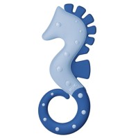 NUK ΔΑΚΤΥΛΙΟΣ ΜΑΣΗΤΙΚΟΣ ΙΠΠΟΚΑΜΠΟΣ