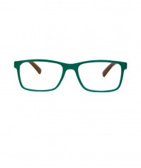 Frog Optical Γυαλιά Πρεσβυωπίας Πράσινο Καφέ Χρώμα, Code:F319 +1.00