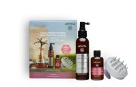 Apivita Λοσιόν Κατά Της Τριχόπτωσης 150ml & ΔΩΡΟ Mini Τονωτικό Σαμπουάν για Γυναίκες, 75ml & Βούρτσα για Μασάζ στο Τριχωτό, 1τμχ