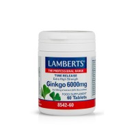 Lamberts Ginkgo Biloba Extract 6000mg Συμπλήρωμα Διατροφής Για Την Καλή Λειτουργία Του Εγκεφάλου 60 Ταμπλέτες