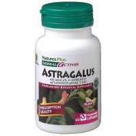Natures Plus Astragalus 450mg Συμπλήρωμα Διατροφής για Ανοσοποιητικό, 60 veg caps