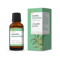 Kanavos Essential Oil Eucalyptus Αιθέριο Έλαιο Ευκάλυπτος 20ml