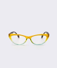 Frog Optical  Γυαλιά Πρεσβυωπίας Χρώμα Κίτρινο-Γαλάζιο Code:F216 +1.25