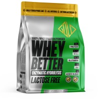 GoldTouch Nutrition Whey Better Hydroprotein 80% Lactose Free Choco-Banana Bag 908gr