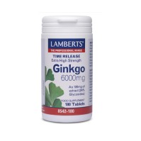 Lamberts Ginkgo Biloba Extract 6000mg - Συμπλήρωμα Διατροφής Για Ενίσχυση Της Μνήμης, 180 ταμπλέτες