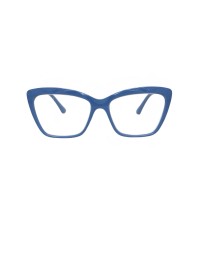 Frog Optical Γυαλιά Πρεσβυωπίας Γαλάζιο Χρώμα Code:F339 +3.00