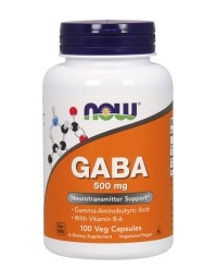 Now Foods GABA 500mg With Vitamin B6 Συμπλήρωμα Διατροφής που Καταπολεμά με Φυσικό Τρόπο το Άγχος & το Στρες, 100 Vegcaps