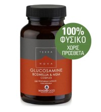TerraNova Glucosamine, Boswellia & ΜSM Complex - Joint Support 100% Φυτική Σύνθεση για τα Προβλήματα των Αρθρώσεων, 100 caps