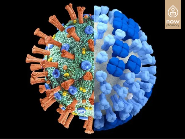 Διαφορές Μεταξύ COVID 19 και Γρίπης