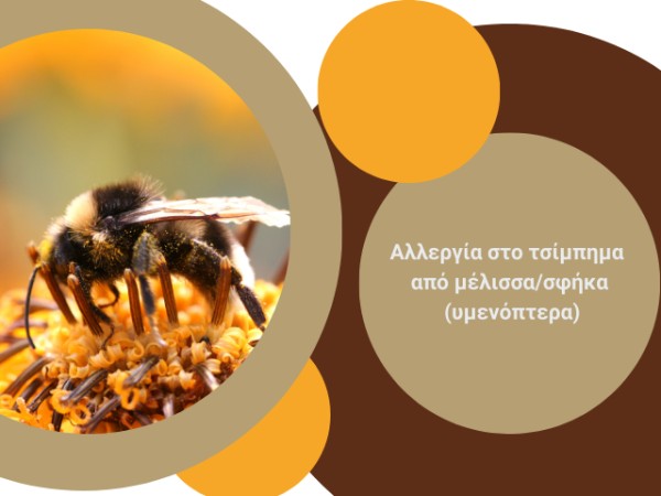 Αλλεργία στο τσίμπημα από μέλισσα/σφήκα (υμενόπτερα)
