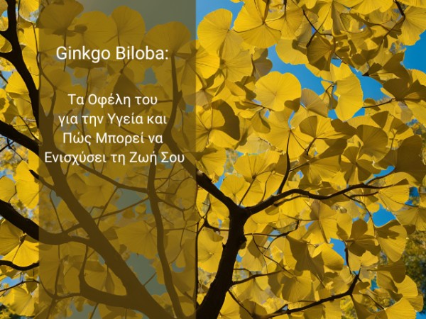 Ginkgo Biloba: Τα Οφέλη του για την Υγεία και Πώς Μπορεί να Ενισχύσει τη Ζωή Σου